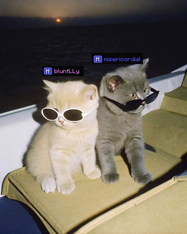 mykoty_g1kB6.png